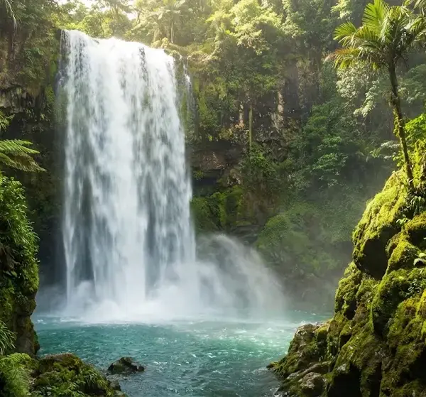 Exotic Waterfalls