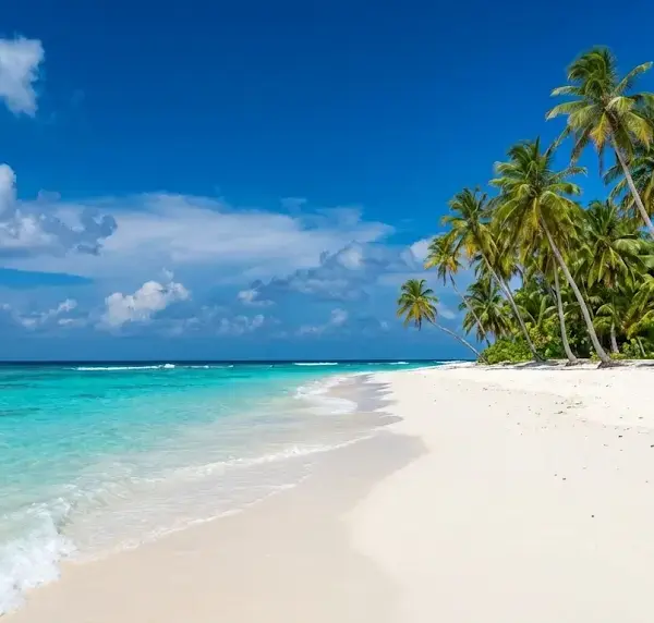 Tropical Beaches Bg