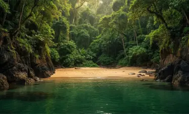 butterfly beach goa