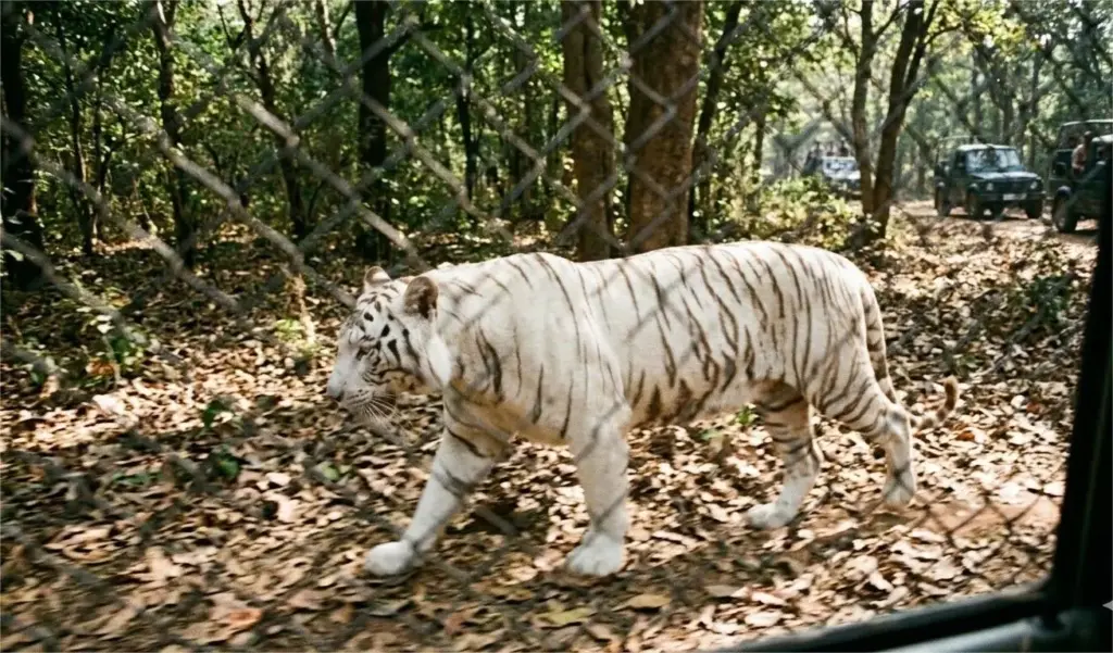 nandanpark zoo
