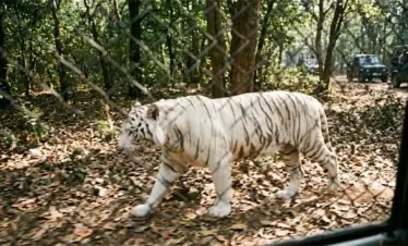 nandanpark zoo
