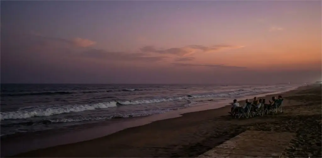 blue point puri