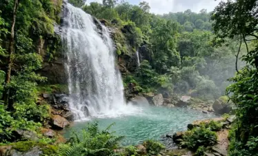 bee fall cascading 202604101745